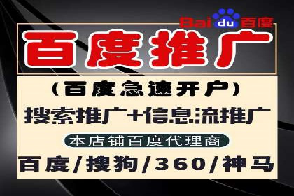 SEM服务案例：提升企业竞争力
